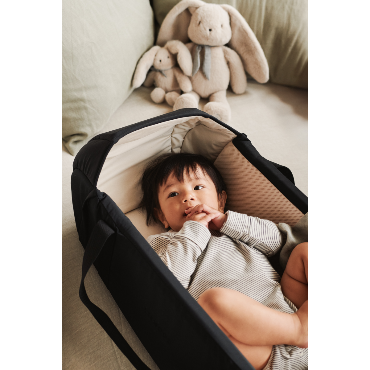 Amber Babylift - Black